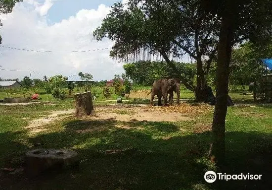 Tempat Wisata di Pekanbaru - Kasang Kulim Zoo