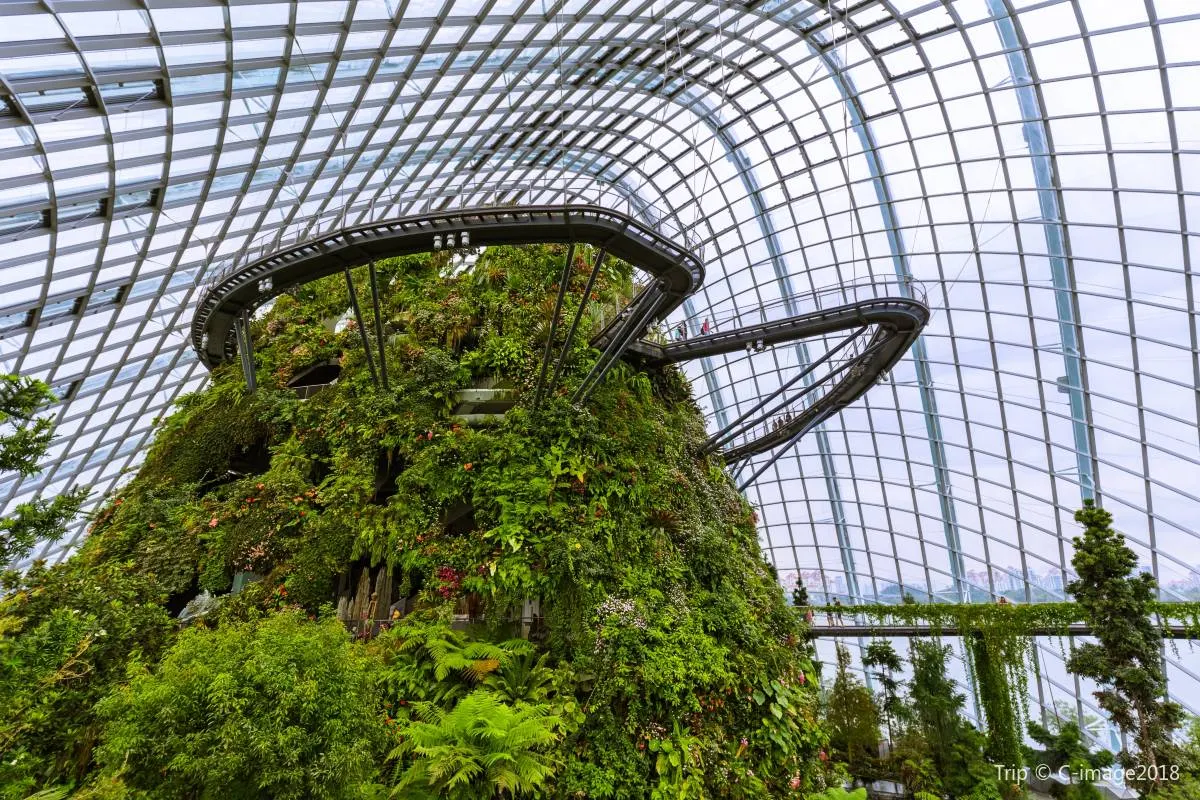 Things to do at Gardens by the Bay
