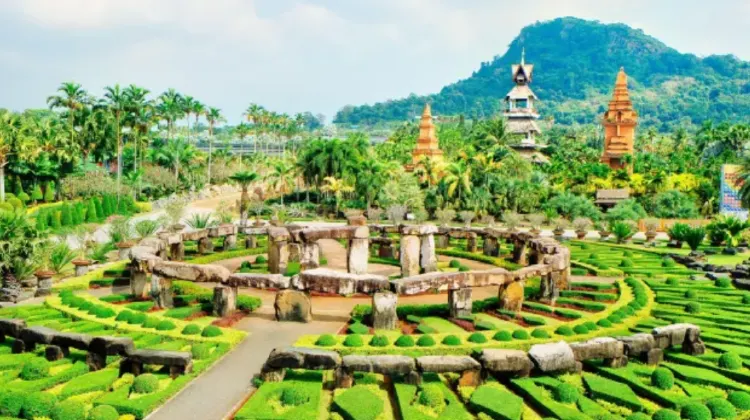 สวน นงนุช