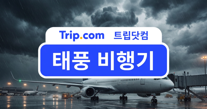 태풍 비행기 결항 기준·후속 일정·보상 방법 한눈에 보기 | 트립닷컴