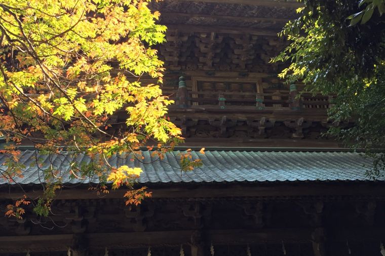 【金刀比羅宮】紅葉の見頃は10月下旬~11月下旬
