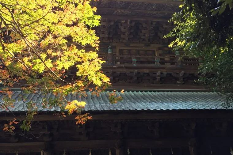 【金刀比羅宮】紅葉の見頃は10月下旬~11月下旬