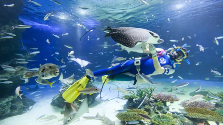 サンシャイン水族館とはどんな水族館?
