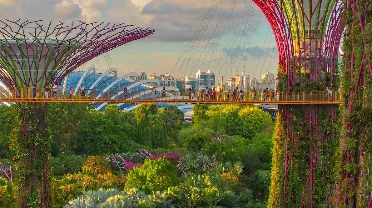Gardens by the Bay is where you can find large greenhouses and massive Supertrees!