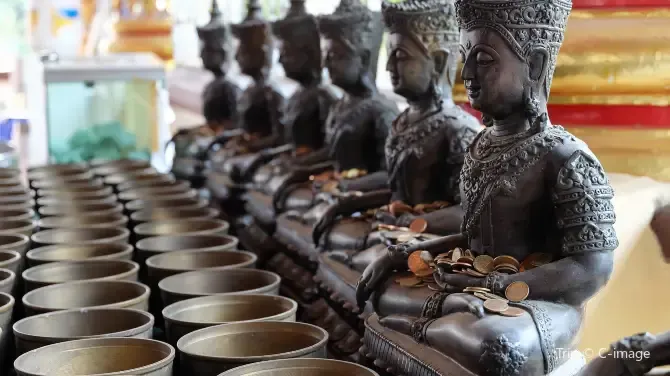 วัดสวนดอก พระอารามหลวง