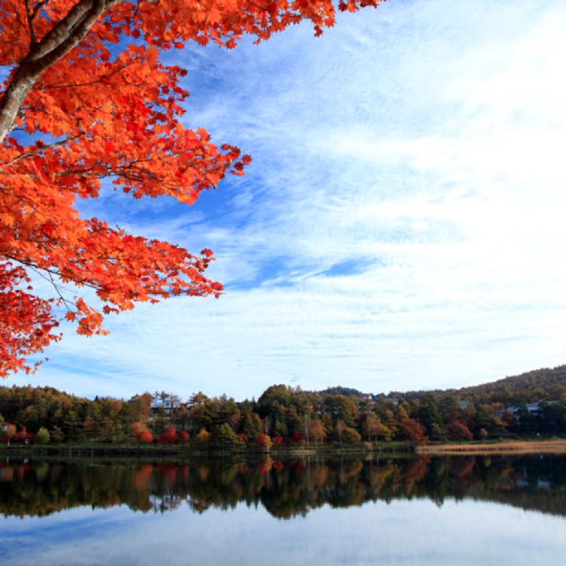 【白駒の池】紅葉の見頃は9月下旬~10月上旬