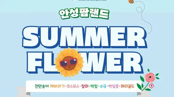안성팜랜드의 여름 시즌 꽃