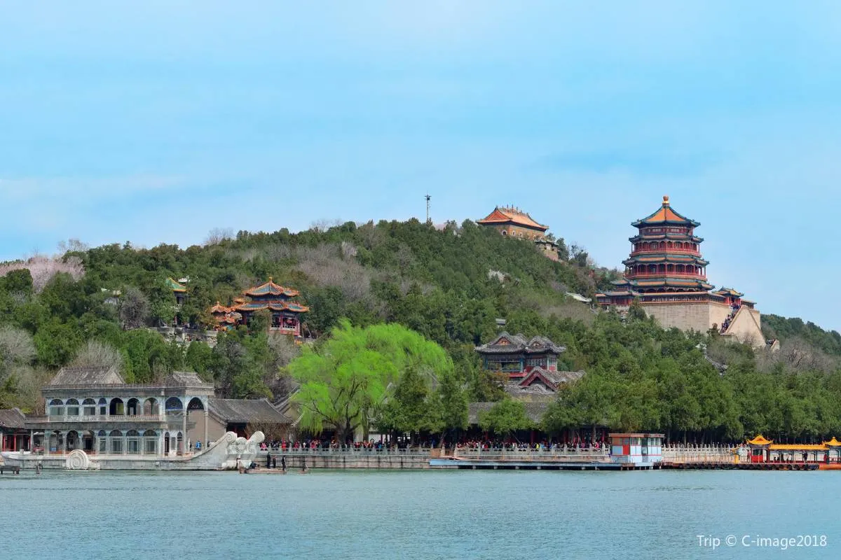 Longevity Hill