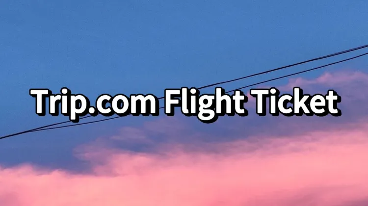 Trip.com Flight Ticket