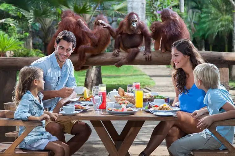 cost of travel bali Bali Safari and Marine Park