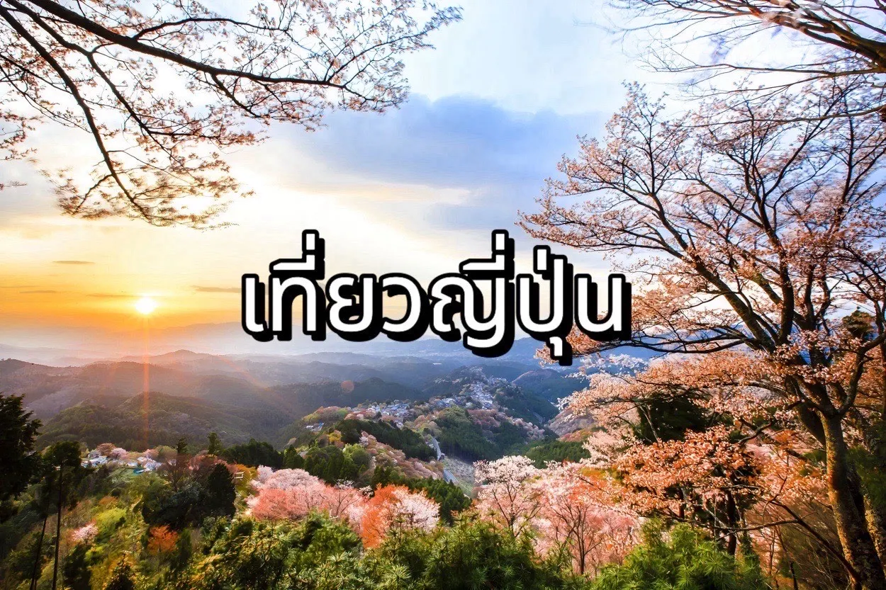 เที่ยวญี่ปุ่น