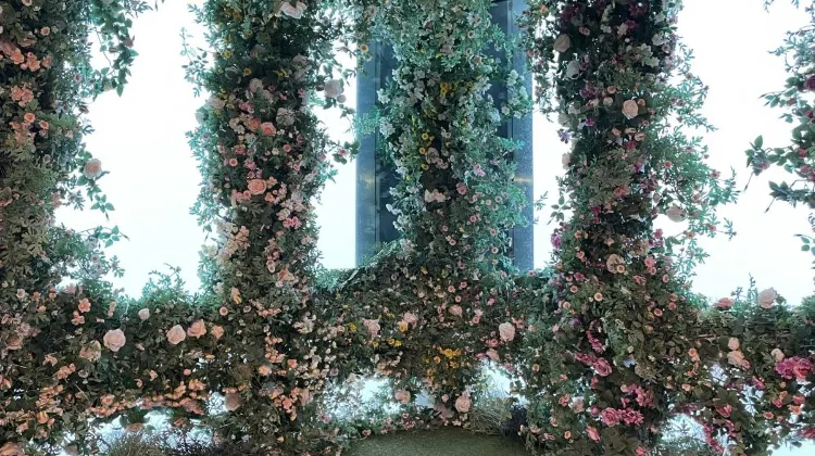 Things to do at Taipei 101