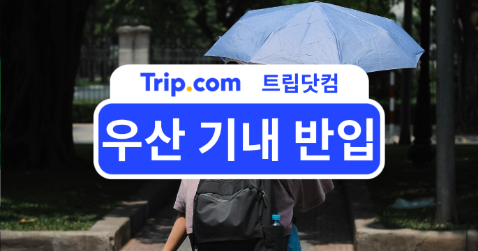 우산 기내 반입 가능 여부 - 접이식·장우산 규정 한눈에 보기 | 트립닷컴