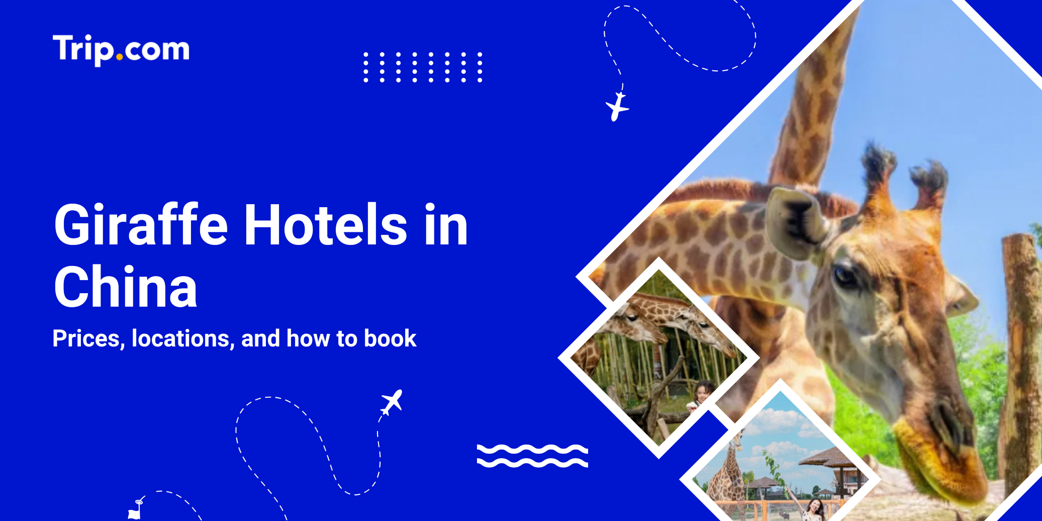 Giraffe Hotels in China: Feed Giraffes from Your Room (2026) | Trip.com
