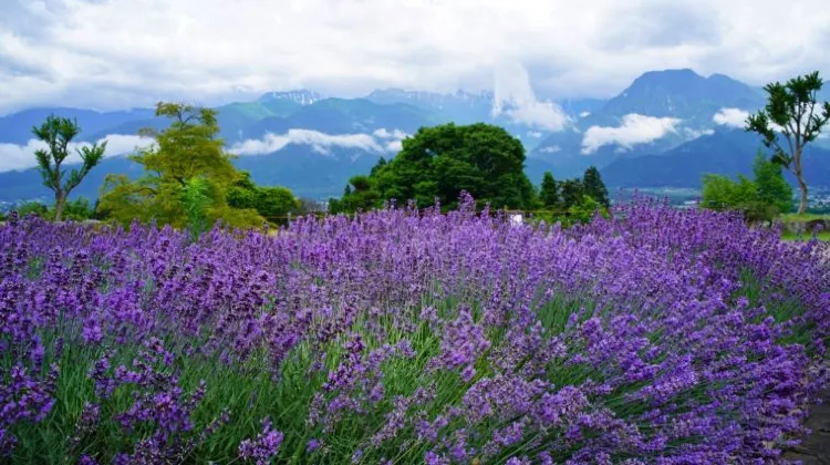 ひとり旅で知っておきたい長野のルールやマナー