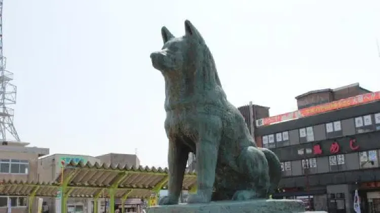 大館能代（秋田）の年間気温について