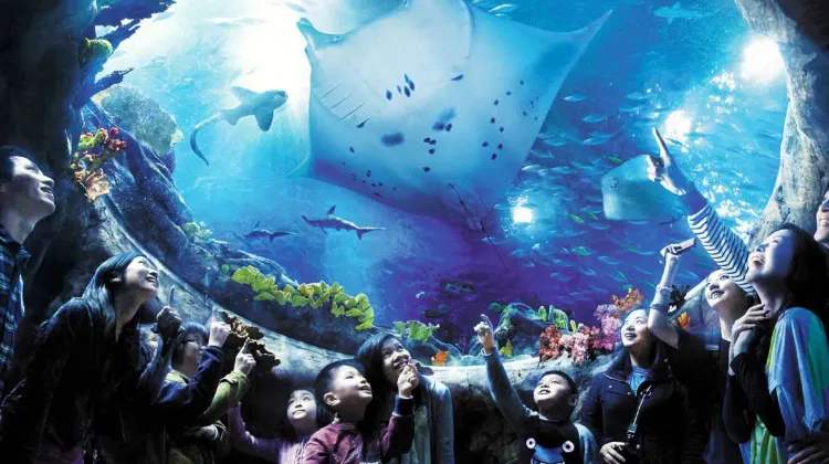 Ocean park Hong Kong