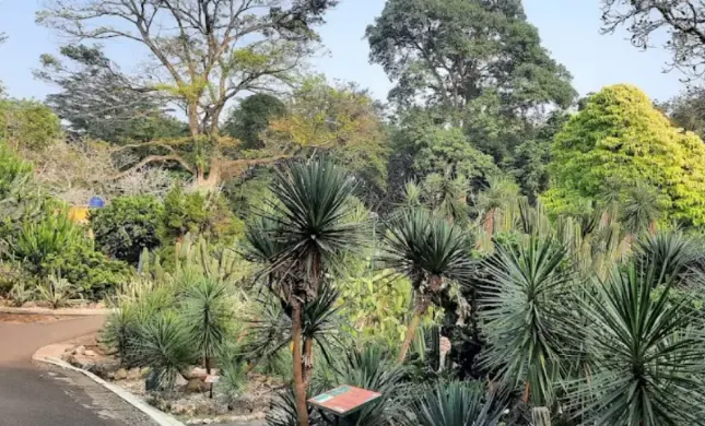 Tempat Wisata di Sentul - Taman Meksiko