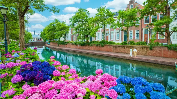 なぜTrip.comのハウステンボスチケットがおすすめ？