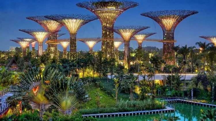 Gardens by the Bay | Things to do in Singapore