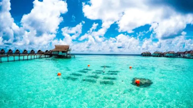 Tips to save money in Maldives