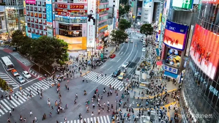 Top 20 Best Things to Do in Tokyo