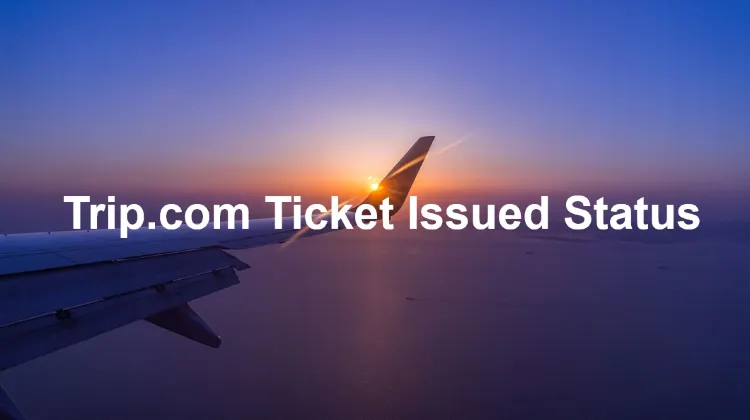 How to Check Trip.com Ticket Issued Status