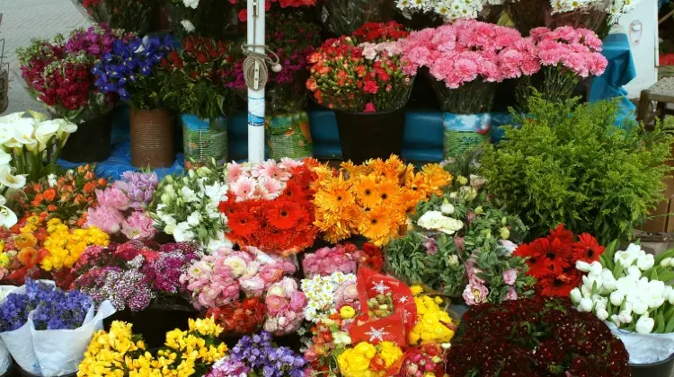 オランダの防犯対策でおすすめのアイテム3選