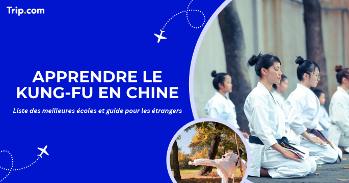 Apprendre le kung-fu en Chine : guide pour les étrangers
