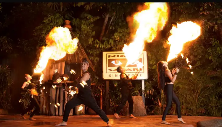 The Night Safari also features spectacular shows