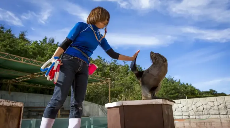 那須どうぶつ王国