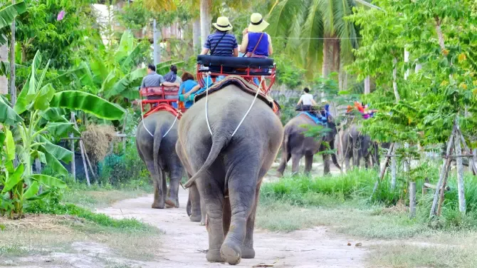 หมู่บ้านช้างหัวหิน