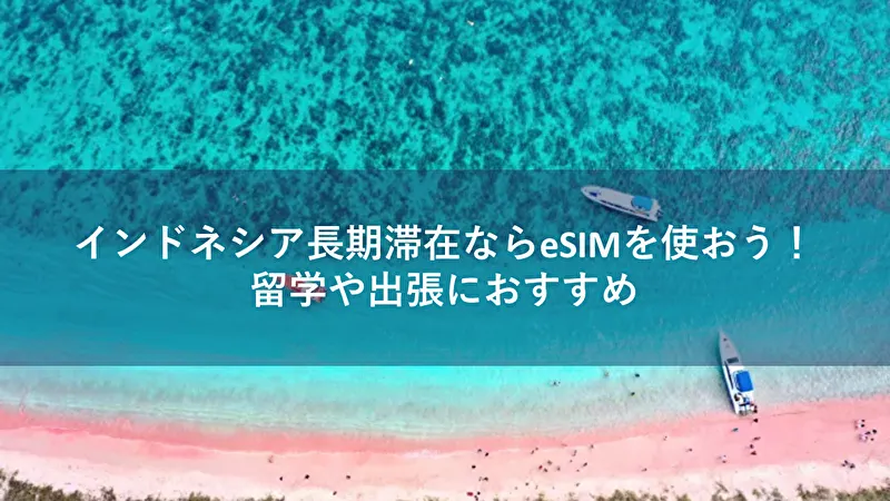 インドネシア esim 長期
