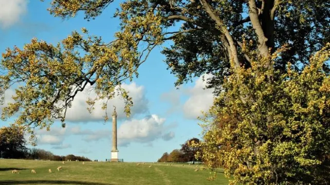 Early May Bank Holiday