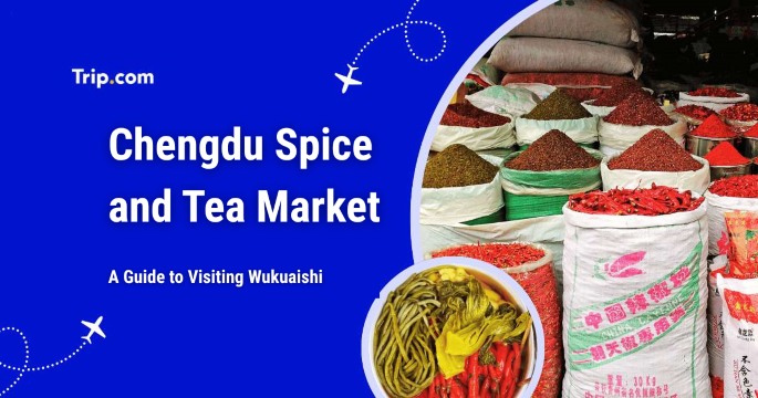Chengdu Spice and Tea Market: A Guide to Visiting Wukuaishi