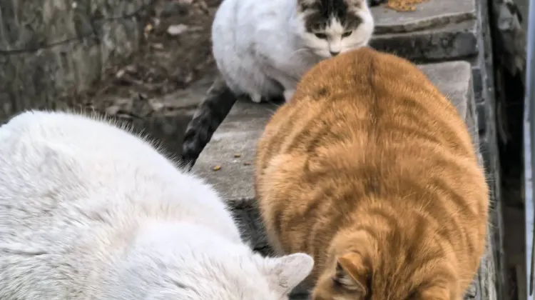 Mutianyu - My Personal Favorite