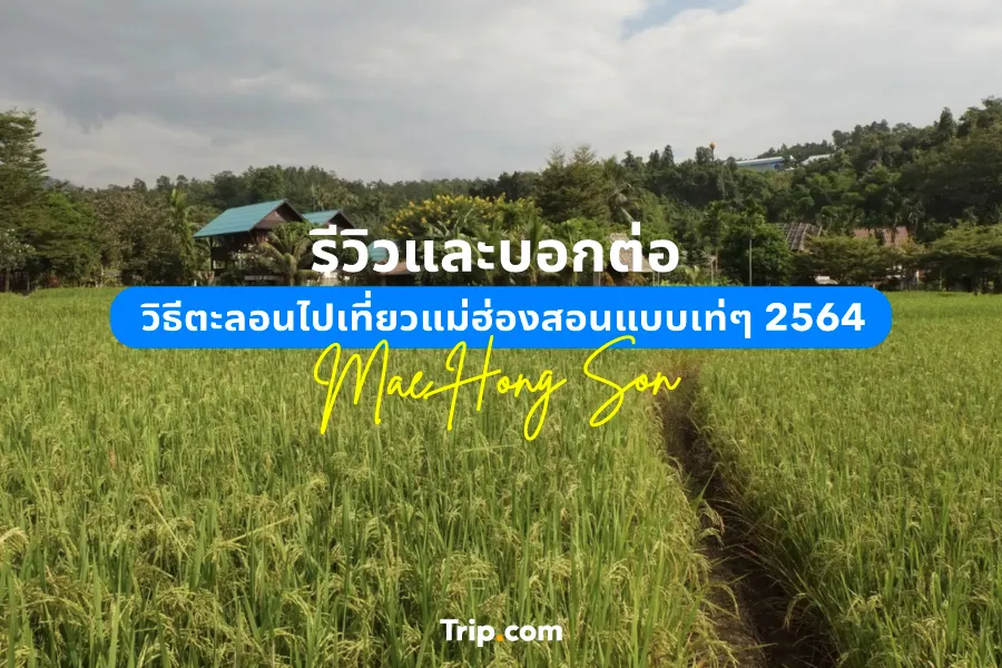 แม่ฮ่องสอน