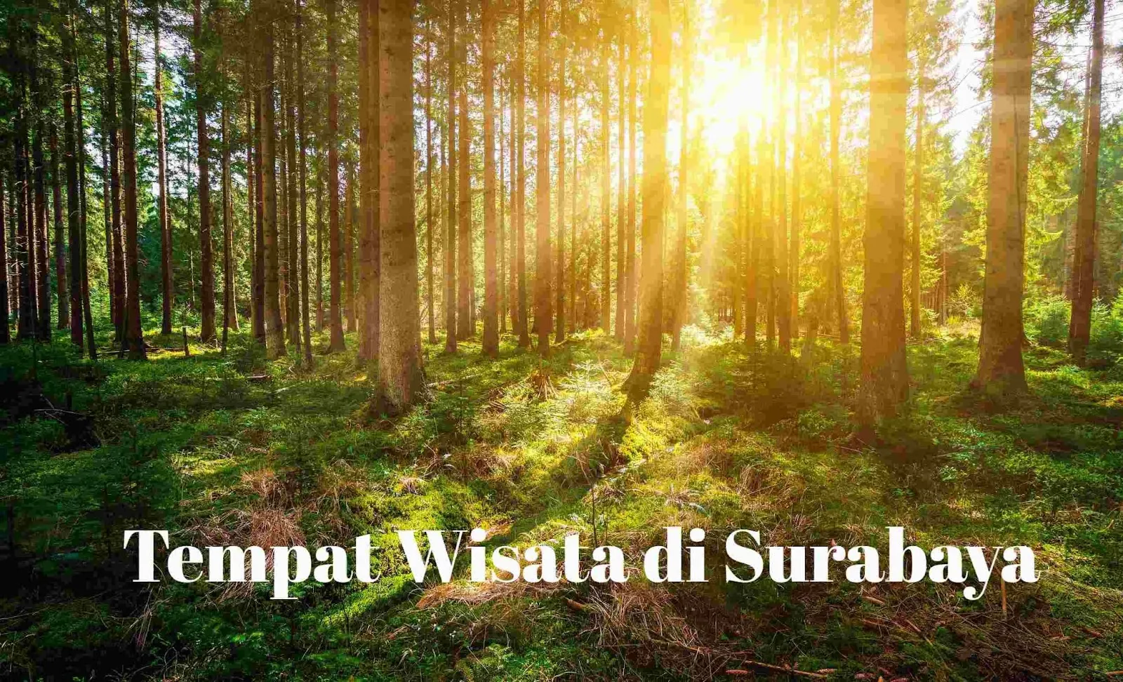 18 Tempat Wisata di Surabaya Terbaik-Trip.com