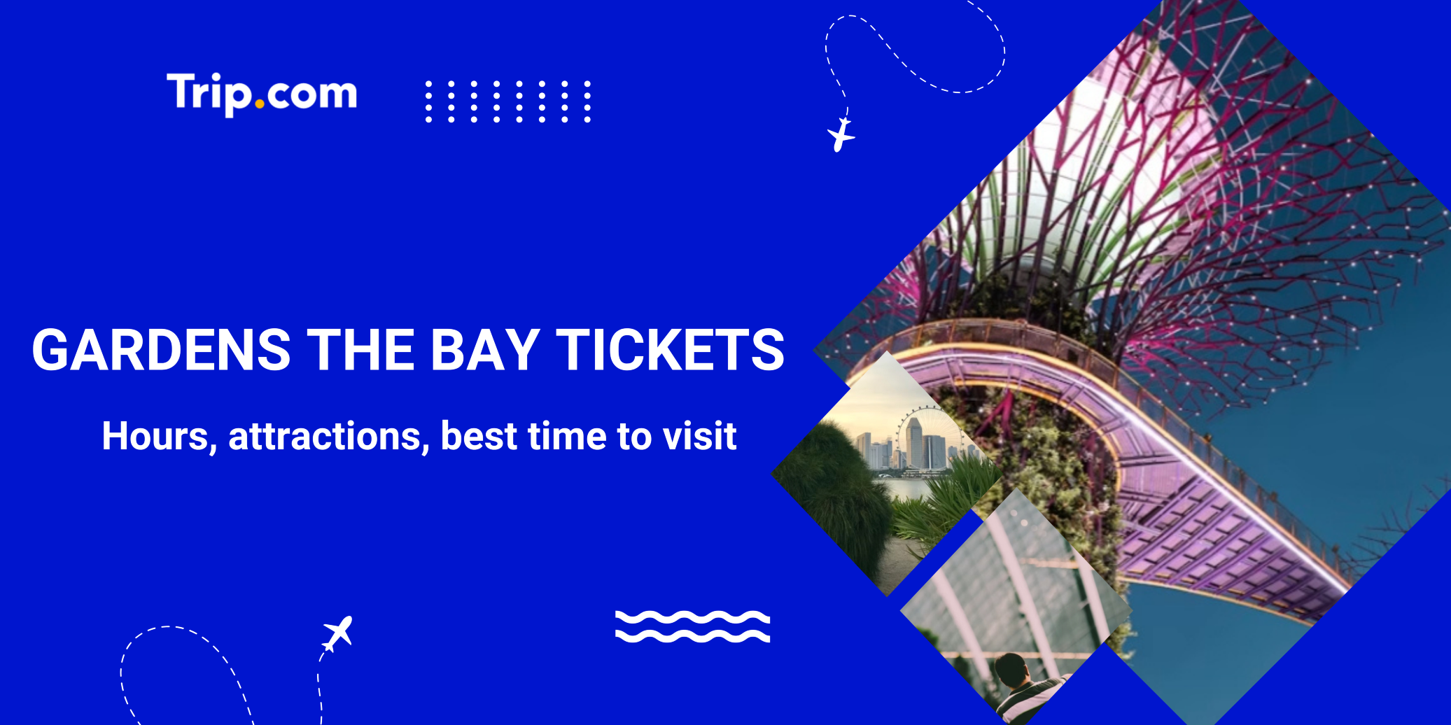 Discounted Gardens by the Bay Tickets & Guide | Trip.com