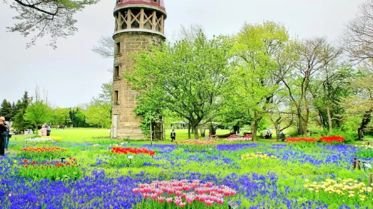 札幌のひとり旅でよくある質問