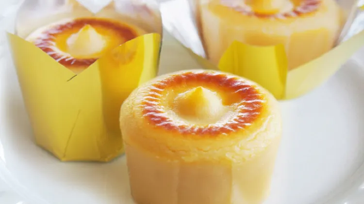 フェスティバロラブリー