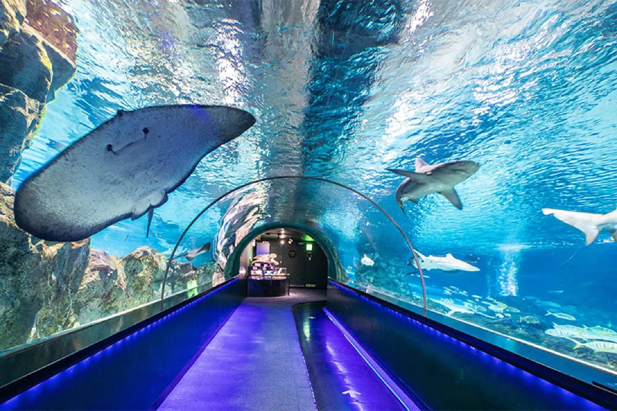 COEX Aquarium