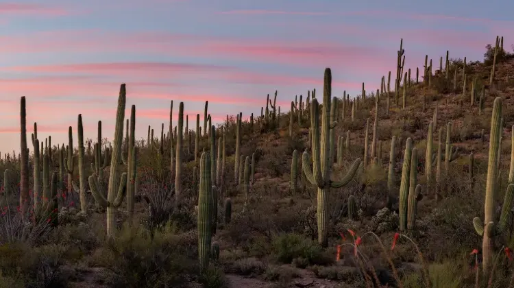 ボリビアでの緊急時の対処法