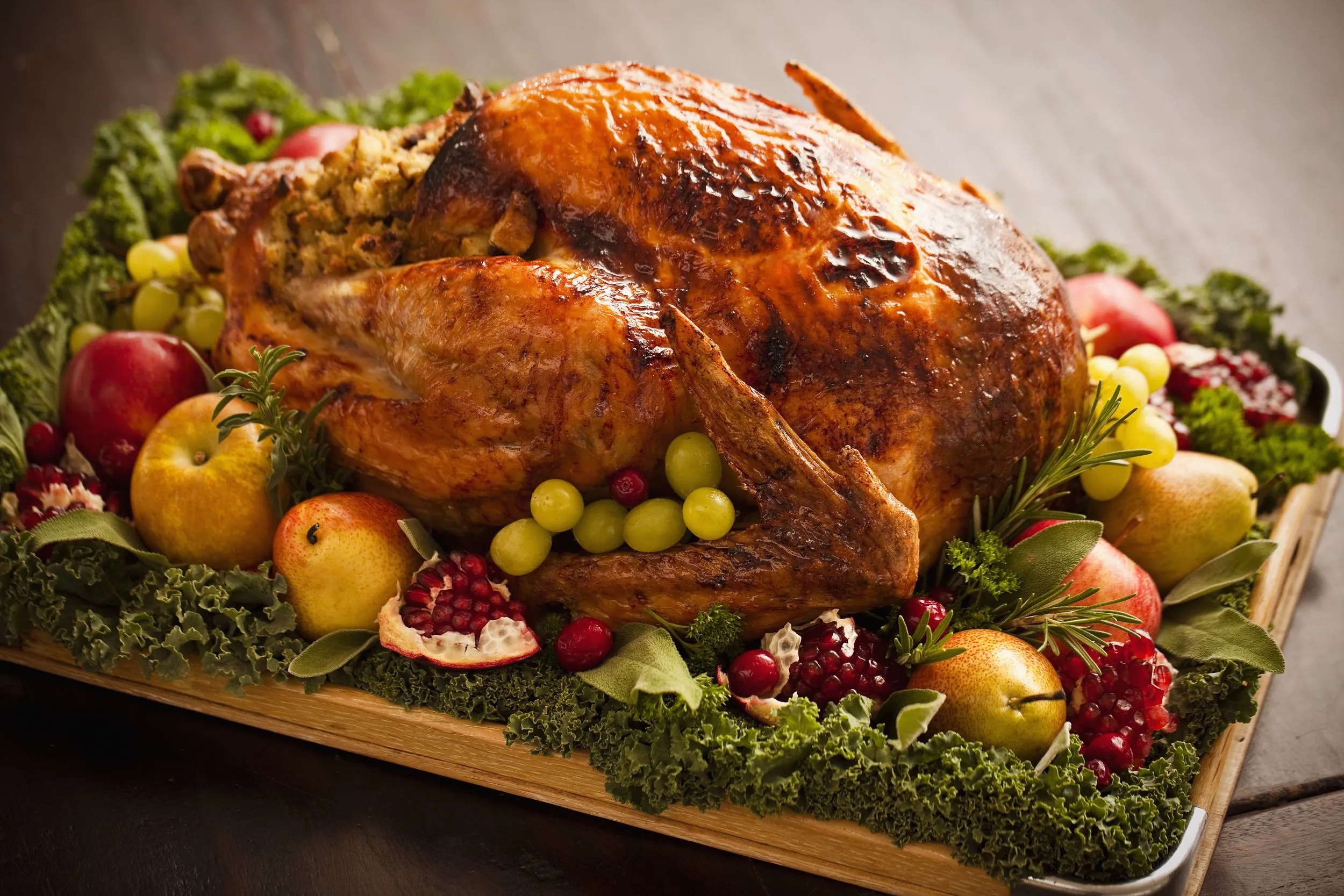 Thanksgiving 2024 About, Prepare & Enjoy