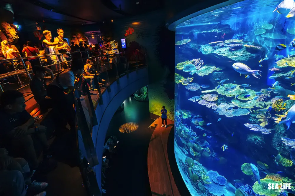 Sealife Bangkok (ซีไลฟ์ แบงคอก)