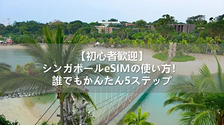 【初心者歓迎】シンガポールeSIMの使い方!誰でもかんたん5ステップ