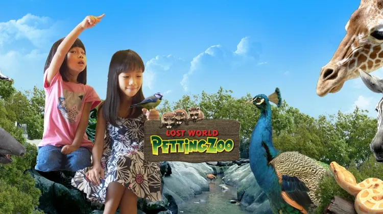 LOST WORLD PETTING ZOO