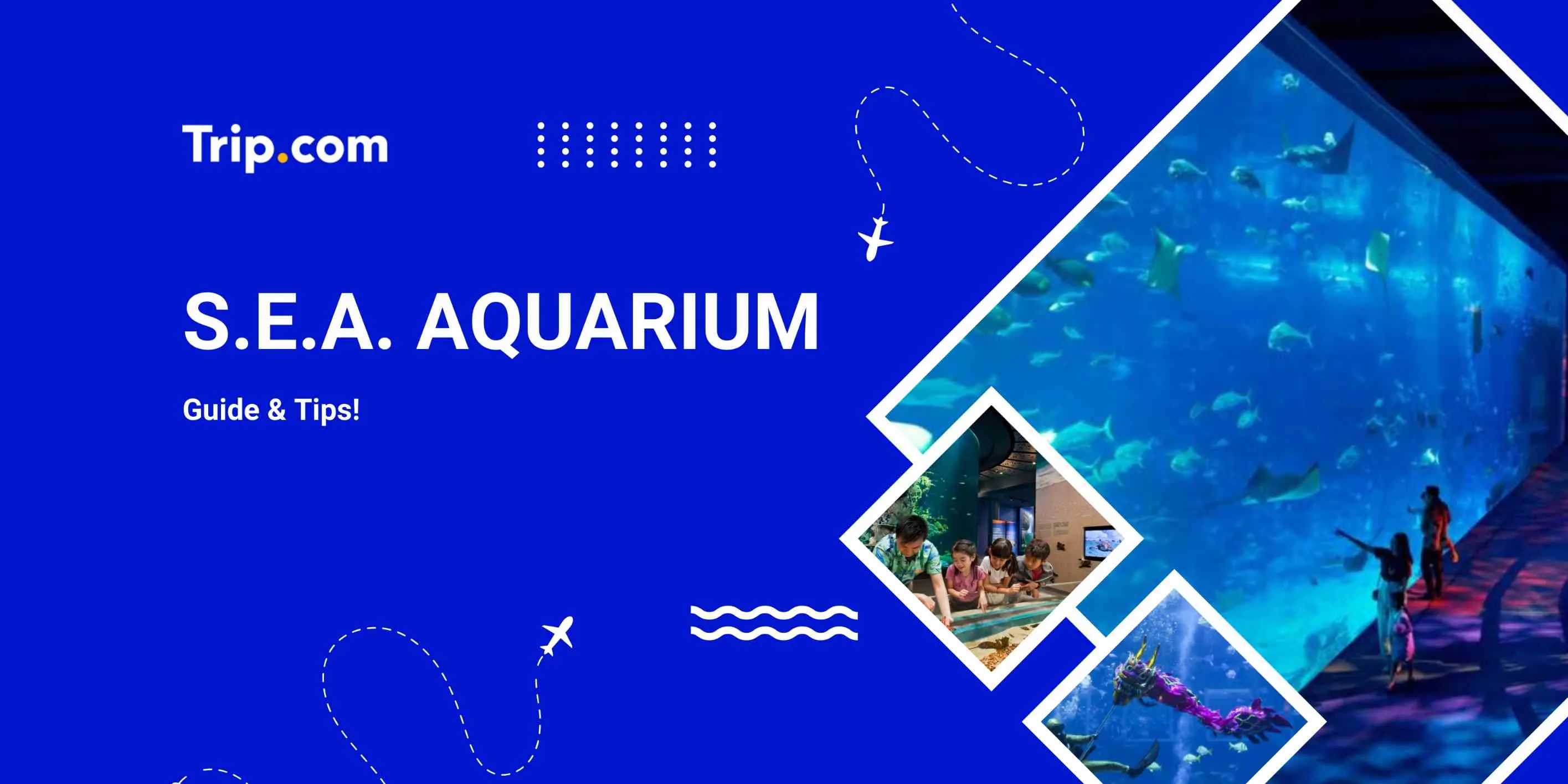 S.E.A. Aquarium Tickets