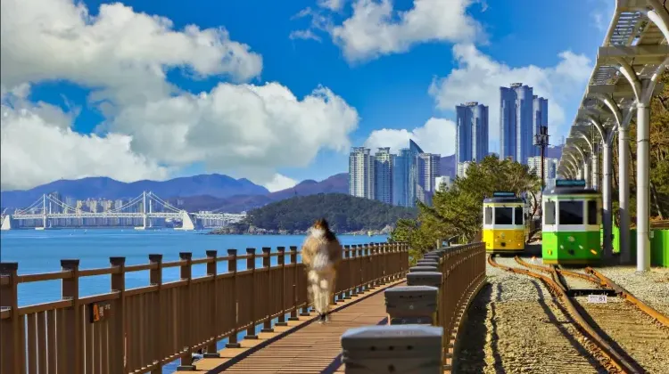 韓国・釜山で何泊する？