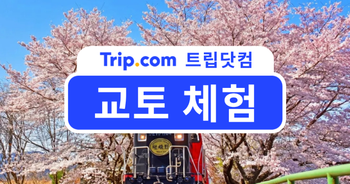 교토 체험 버킷리스트: 여행의 깊이를 더해줄 문화 활동은? | 트립닷컴